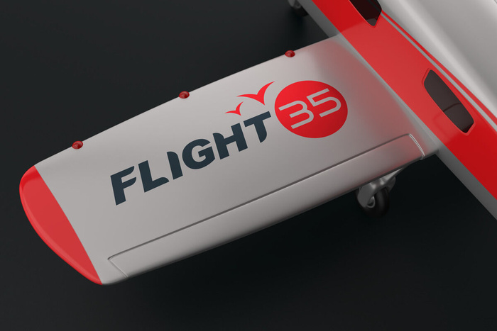 飞机模型logo样机模板