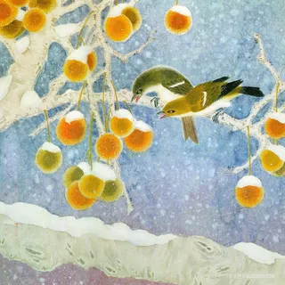 雪景树枝鸟果实插画 雪景树枝鸟果实插画