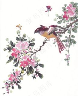 国画吉祥鸟设计摄影图片