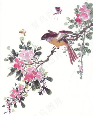 国画吉祥鸟设计摄影图片