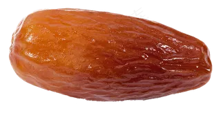 海枣免抠素材 (13)