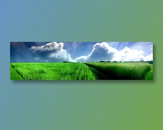 草地风光图片下载