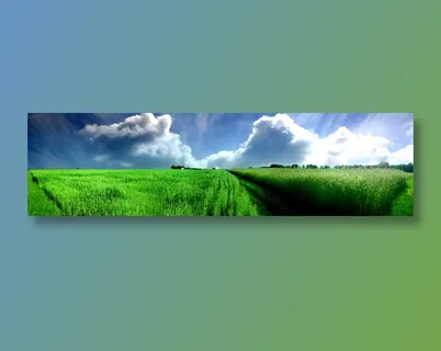草地风光图片下载 草地风光图片下载