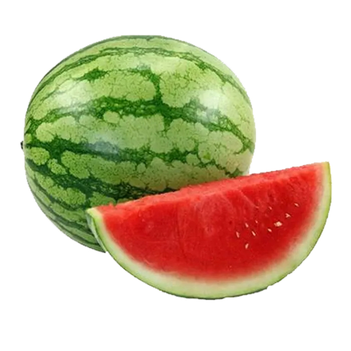 夏日西瓜素材