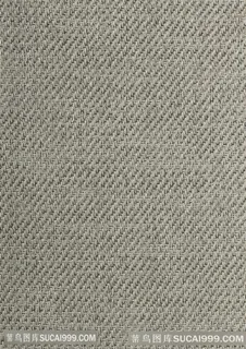 地毯 布纹 纹理 中式地毯 客厅地毯 卧室地毯 沙发地毯 家装地毯 床边毯 地垫 现代地毯 几何地毯