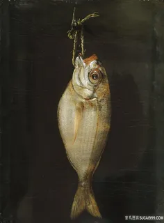 静物鱼装饰画挂画