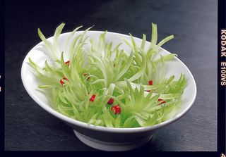 LCSC1181菊花西芹22元
