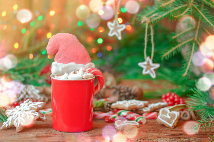 圣诞节圣诞桌面牛奶装饰元素静物特写场景(78)