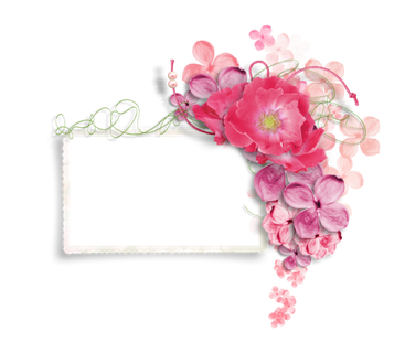 方形红色大花边框素材