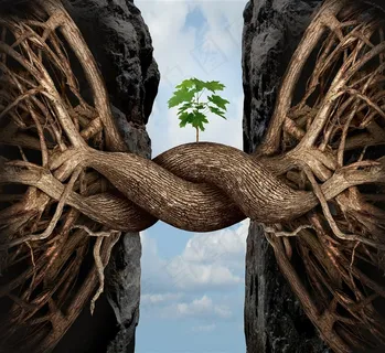 创意树根广告设计图片 创意树根广告设计图片
