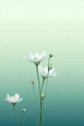 清新浅绿色荷花节气背景