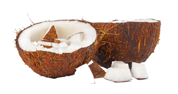 椰子 (12)水果超市商品白底图免抠实物摄影png格式图片透明底