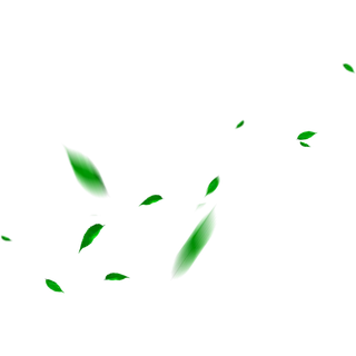 电商漂浮模糊叶子素材