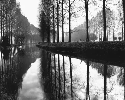 黑白湖畔树林美景装饰画