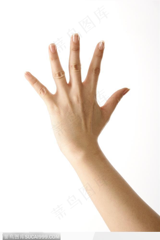 手势喻意-五指背面