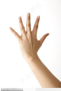手势喻意-五指背面