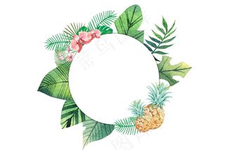 圆形艺术花草边框图片