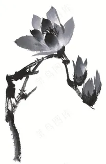 写意花卉绘画jpg素材