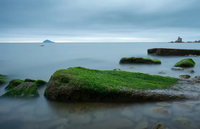 青苔水面石头