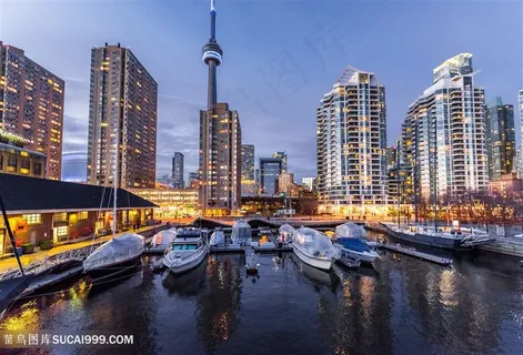 上海外滩游艇轮船夜景 上海外滩游艇轮船夜景