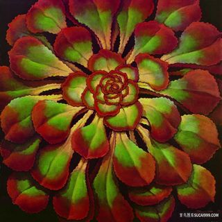 花卉时尚艺术插画