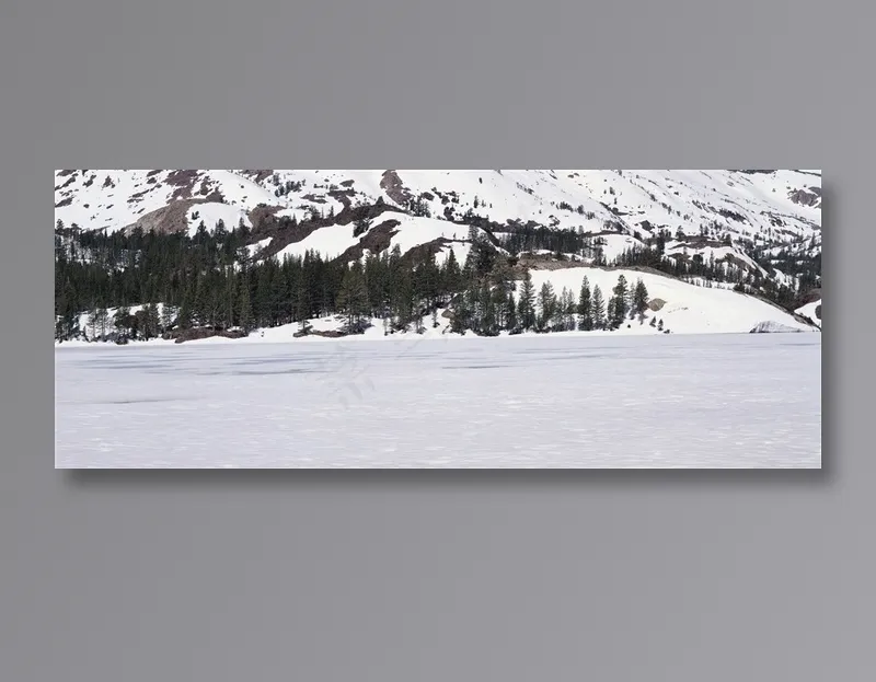 冬天山脚下的森林全景摄影环境贴图