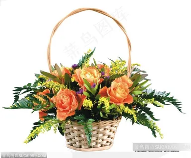 玫瑰花束-竹篮中的一束玫瑰花