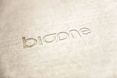 LOGO样机展示效果