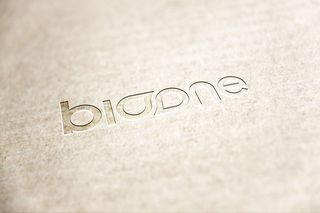 LOGO样机展示效果