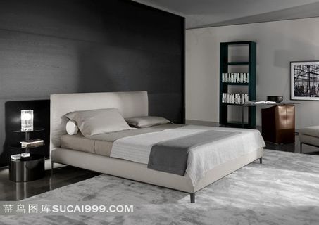 罗马的欧美室内摄影效果图