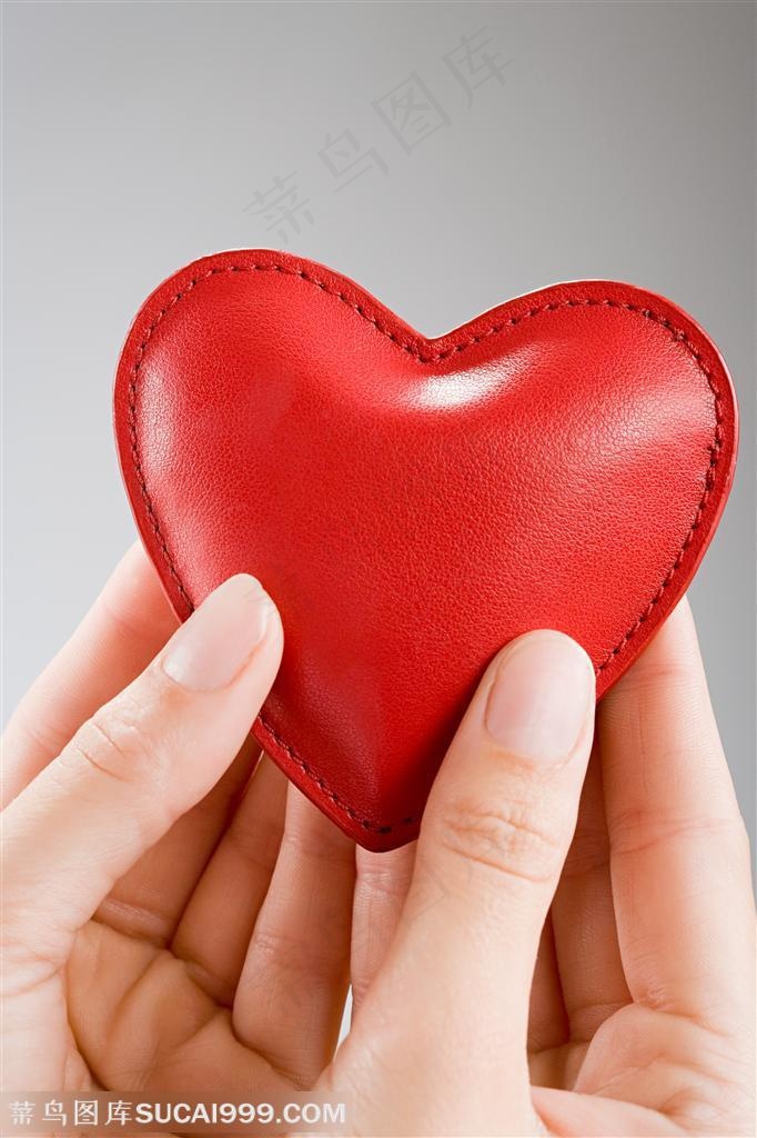 人体器官特写-双手捧着心