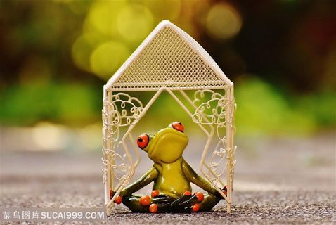 可爱的青蛙模型玩具高清图