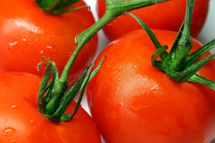 新鲜的番茄特写高清图片