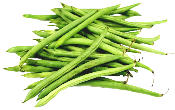 豇豆成熟豆子
