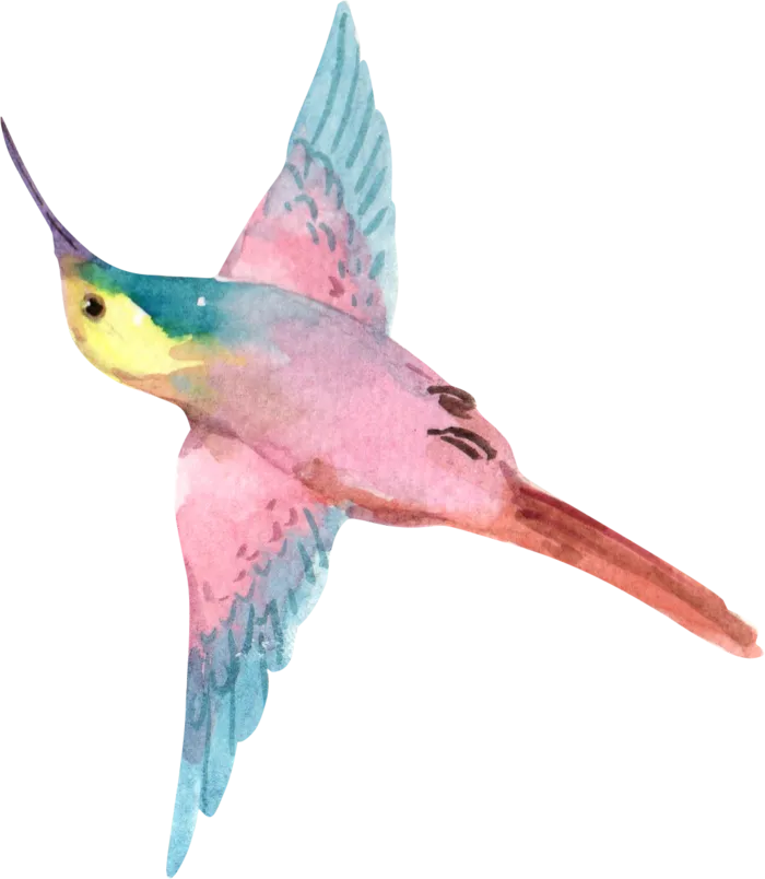 插画免抠高清素材