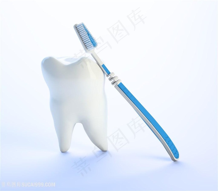 牙齿模型与牙刷高清图片