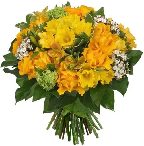 花束 PNG免抠(553x559)
