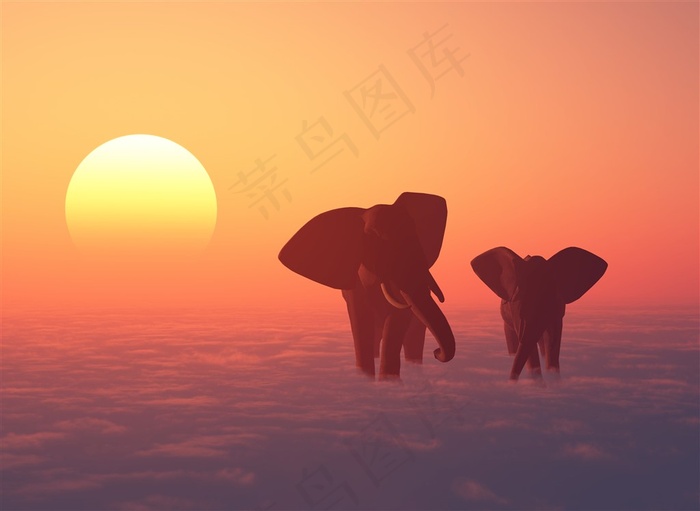 日出大象图片下载