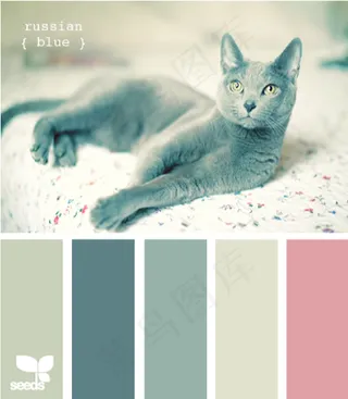 动物配色色卡色彩搭配