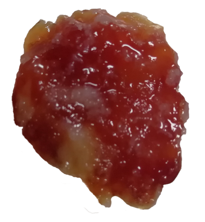 广味香肠切片单个免抠摄影元素素材