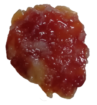 广味香肠切片单个免抠摄影元素素材