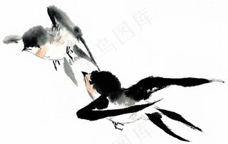 鸟禽欣赏花素材