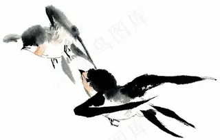 鸟禽欣赏花素材