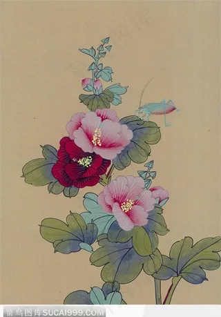 工笔画—茶花