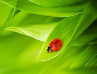 图片设计素材背景炫光背景