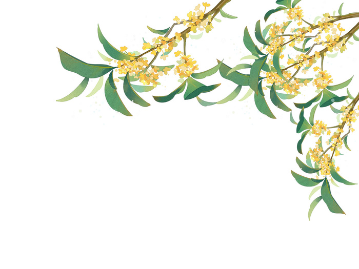 小清新古风桂花花枝中秋节元素素材