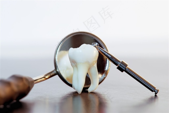 牙齿模型与牙科器材
