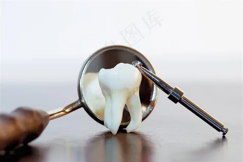 牙齿模型与牙科器材 牙齿模型与牙科器材