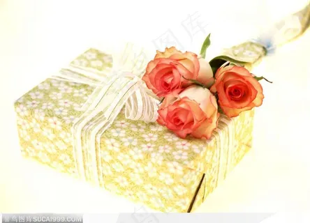 情人节物语-盒子上的玫瑰花