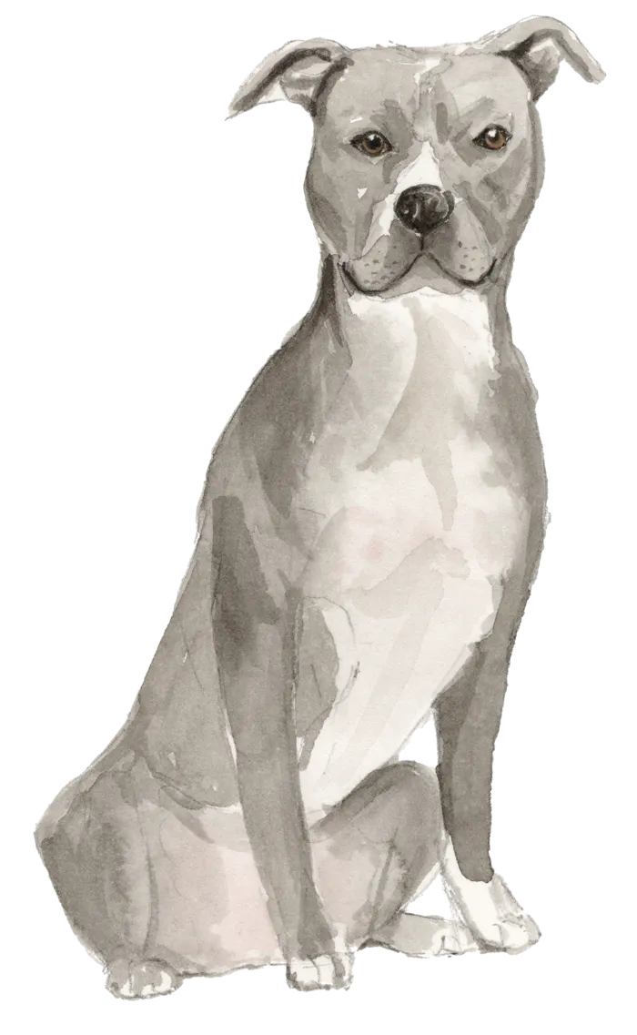 狗狗水彩画插画免扣素材可爱宠物狗